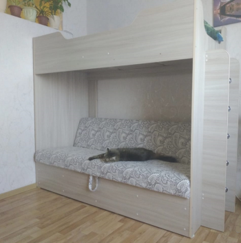 Кровать двухъярусная с диваном (Беленый дуб) в Садовом - sadovyj.mebel54.com | фото